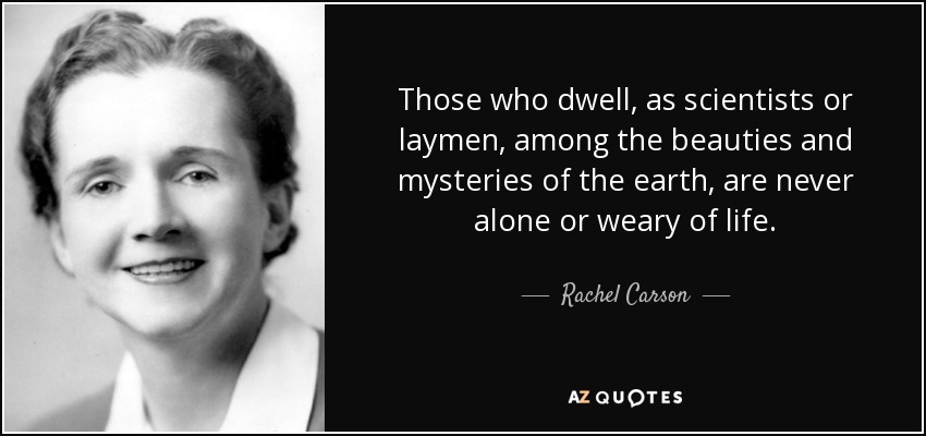 Quienes habitan, como científicos o legos, entre las bellezas y los misterios de la tierra, nunca están solos ni se cansan de vivir. - Rachel Carson