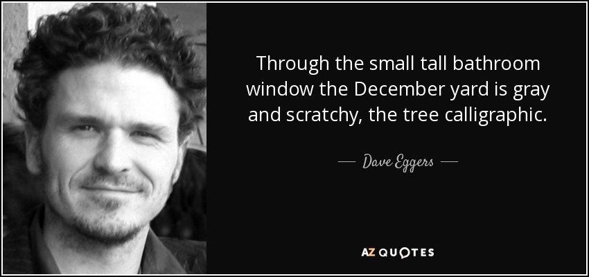 A través de la pequeña y alta ventana del baño, el patio de diciembre es gris y rasposo, el árbol caligráfico. - Dave Eggers