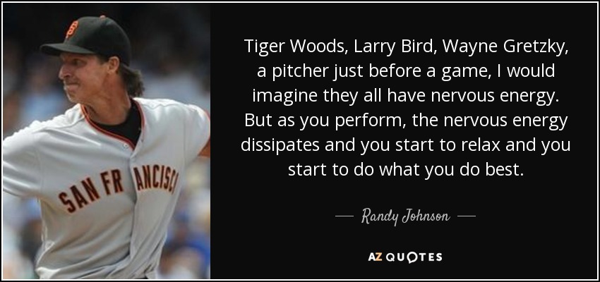 Tiger Woods, Larry Bird, Wayne Gretzky, a pitcher just before a game, I would imagine they all have nervous energy. But as you perform, the nervous energy dissipates and you start to relax and you start to do what you do best. - Randy Johnson