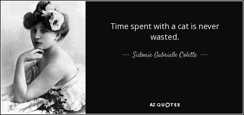 Time spent with a cat is never wasted. - Sidonie Gabrielle Colette