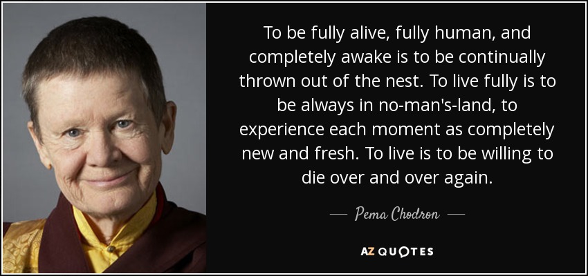 To be fully alive, fully human, and completely awake is to be continually thrown out of the nest. To live fully is to be always in no-man's-land, to experience each moment as completely new and fresh. To live is to be willing to die over and over again. - Pema Chodron
