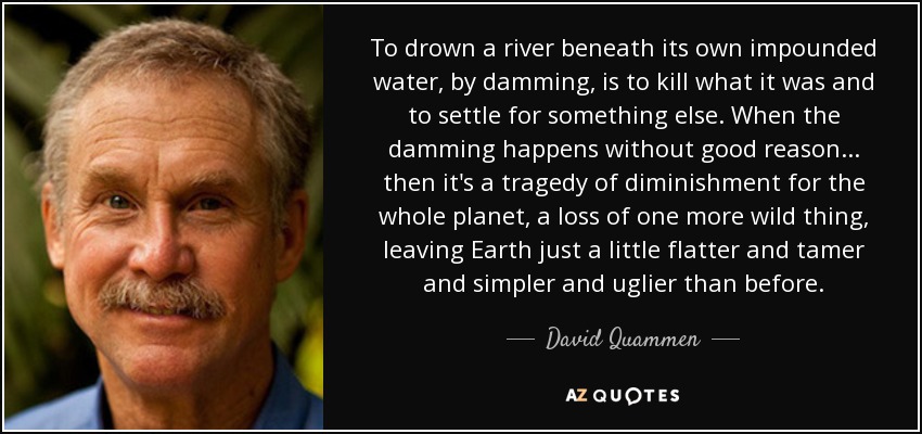 To drown a river beneath its own impounded water, by damming, is to kill what it was and to settle for something else. When the damming happens without good reason . . . then it's a tragedy of diminishment for the whole planet, a loss of one more wild thing, leaving Earth just a little flatter and tamer and simpler and uglier than before. - David Quammen