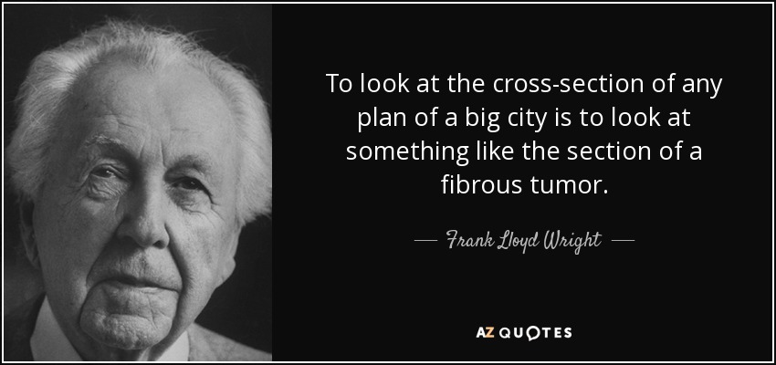 Observar la sección transversal de cualquier plano de una gran ciudad es observar algo parecido a la sección de un tumor fibroso. - Frank Lloyd Wright