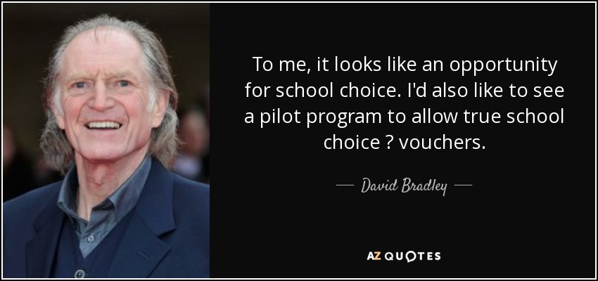 To me, it looks like an opportunity for school choice. I'd also like to see a pilot program to allow true school choice ? vouchers. - David Bradley
