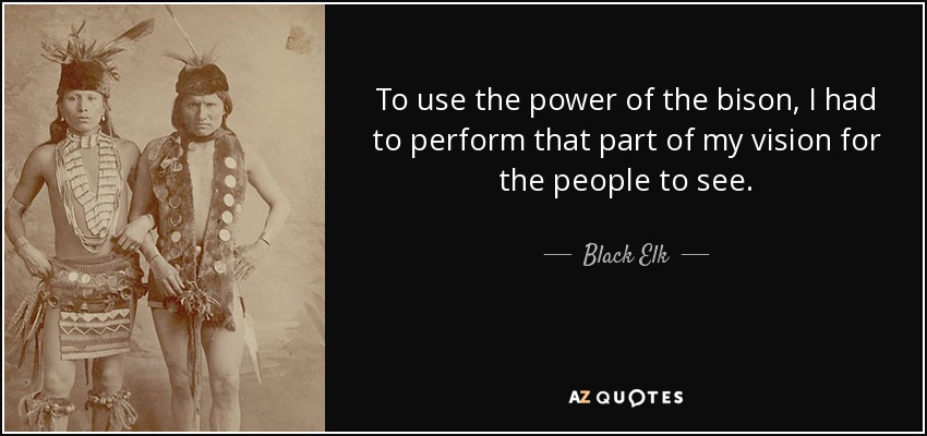 Para utilizar el poder del bisonte, tuve que representar esa parte de mi visión para que la gente la viera. - Alce Negro