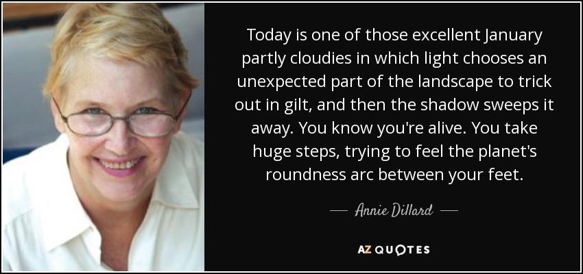 Hoy es uno de esos excelentes enero parcialmente nublado en el que la luz elige una parte inesperada del paisaje para engañar a cabo en dorado, y luego la sombra barre. Sabes que estás vivo. Das pasos enormes, intentando sentir la redondez del planeta arqueándose entre tus pies. - Annie Dillard