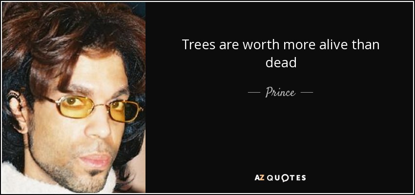 Trees are worth more alive than dead - Prince