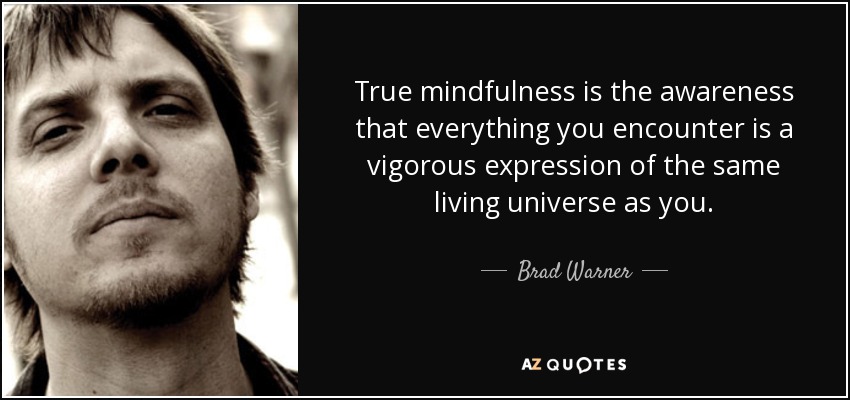 True mindfulness is the awareness that everything you encounter is a vigorous expression of the same living universe as you. - Brad Warner