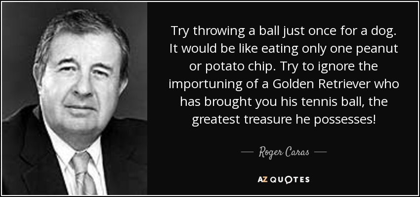 Intente lanzar una pelota sólo una vez para un perro. Sería como comer sólo un cacahuete o una patata frita. Intenta ignorar las importunaciones de un Golden Retriever que te ha traído su pelota de tenis, ¡el mayor tesoro que posee! - Roger Caras