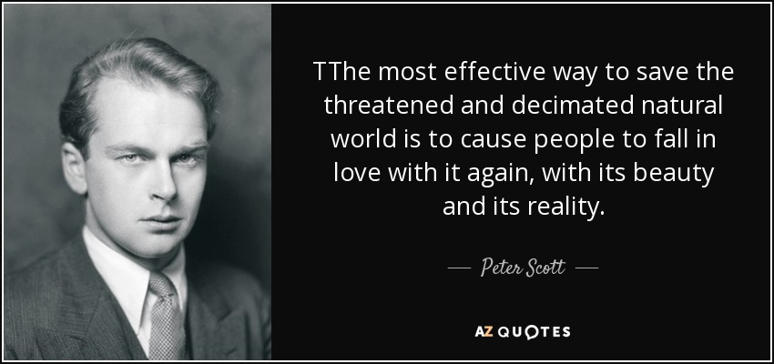 TThe most effective way to save the threatened and decimated natural world is to cause people to fall in love with it again, with its beauty and its reality. - Peter Scott