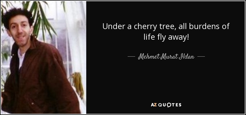 Under a cherry tree, all burdens of life fly away! - Mehmet Murat Ildan