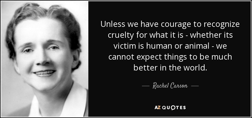 Unless we have courage to recognize cruelty for what it is - whether its victim is human or animal - we cannot expect things to be much better in the world. - Rachel Carson