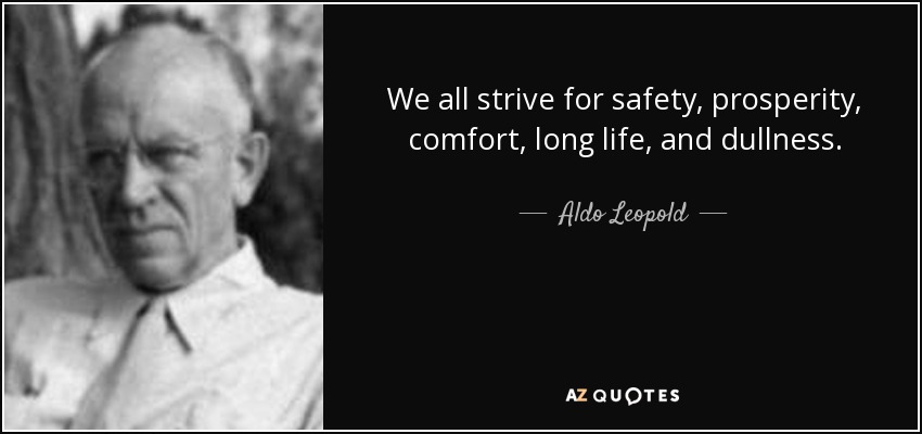 We all strive for safety, prosperity, comfort, long life, and dullness. - Aldo Leopold