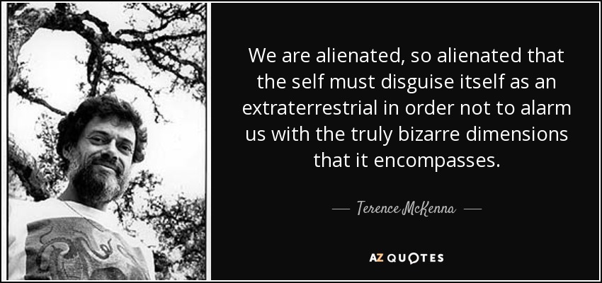 We are alienated, so alienated that the self must disguise itself as an extraterrestrial in order not to alarm us with the truly bizarre dimensions that it encompasses. - Terence McKenna