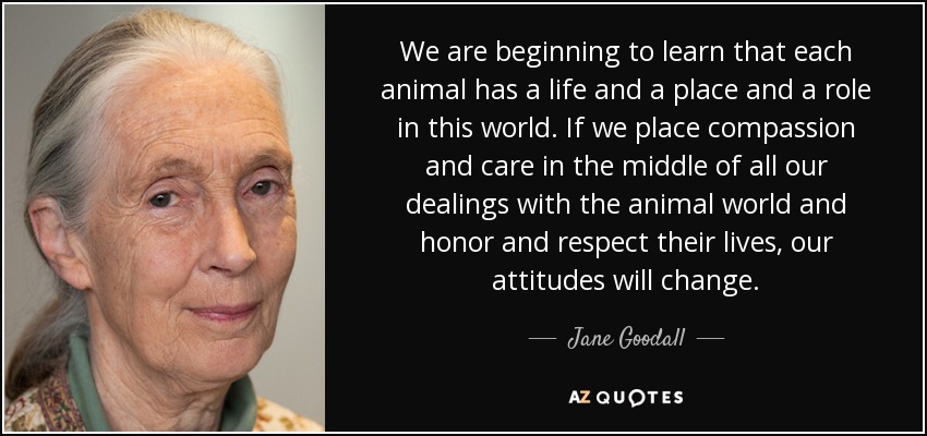 We are beginning to learn that each animal has a life and a place and a role in this world. If we place compassion and care in the middle of all our dealings with the animal world and honor and respect their lives, our attitudes will change. - Jane Goodall