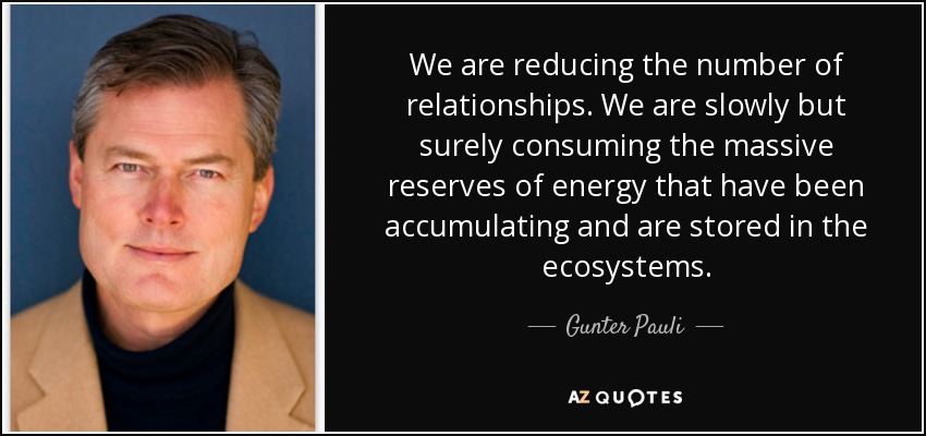 We are reducing the number of relationships. We are slowly but surely consuming the massive reserves of energy that have been accumulating and are stored in the ecosystems. - Gunter Pauli