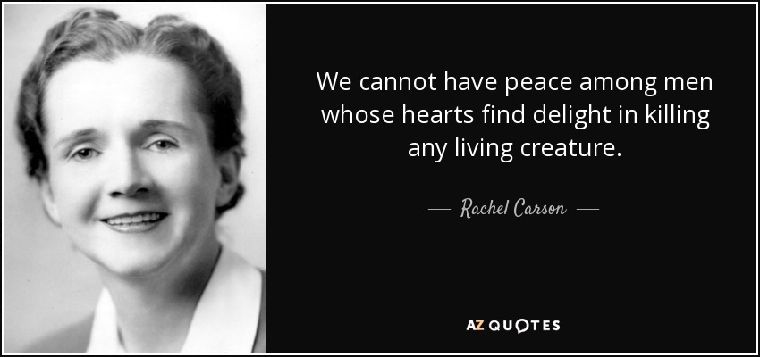 No podemos tener paz entre hombres cuyos corazones se deleitan matando a cualquier criatura viviente. - Rachel Carson