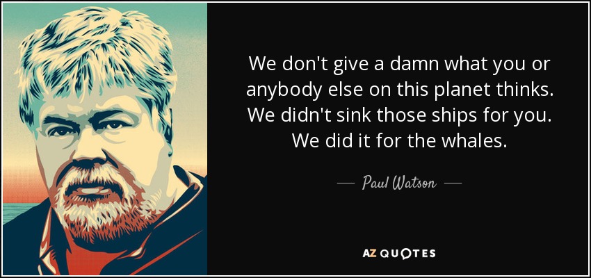 We don't give a damn what you or anybody else on this planet thinks. We didn't sink those ships for you. We did it for the whales. - Paul Watson