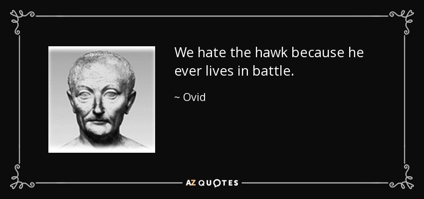 We hate the hawk because he ever lives in battle. - Ovid