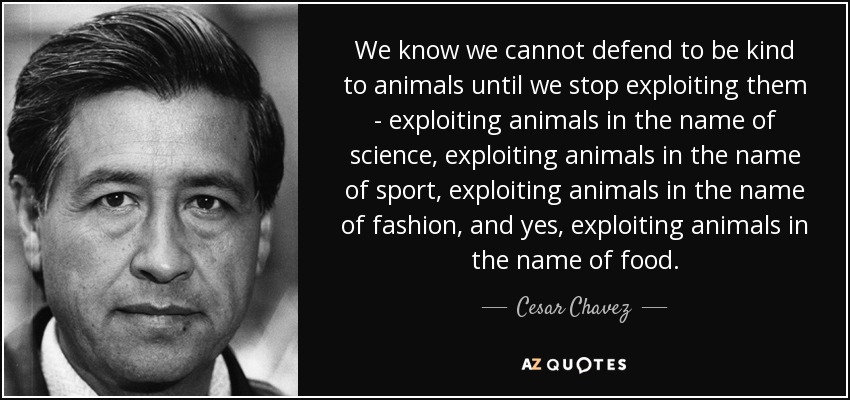 Sabemos que no podemos defender ser amables con los animales hasta que dejemos de explotarlos - explotando animales en nombre de la ciencia, explotando animales en nombre del deporte, explotando animales en nombre de la moda, y sí, explotando animales en nombre de la comida. - César Chávez