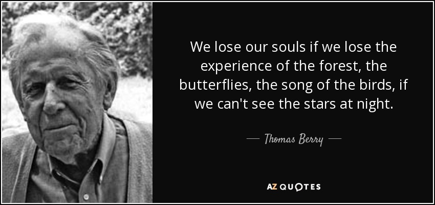 We lose our souls if we lose the experience of the forest, the butterflies, the song of the birds, if we can't see the stars at night. - Thomas Berry