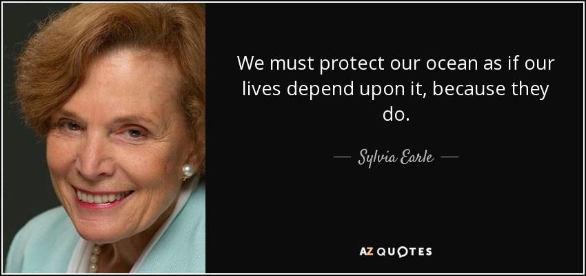 We must protect our ocean as if our lives depend upon it, because they do. - Sylvia Earle