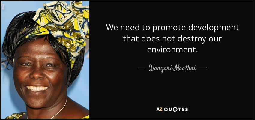 Tenemos que promover un desarrollo que no destruya nuestro medio ambiente. - Wangari Maathai