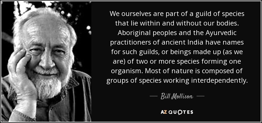 We ourselves are part of a guild of species that lie within and without our bodies. Aboriginal peoples and the Ayurvedic practitioners of ancient India have names for such guilds, or beings made up (as we are) of two or more species forming one organism. Most of nature is composed of groups of species working interdependently. - Bill Mollison