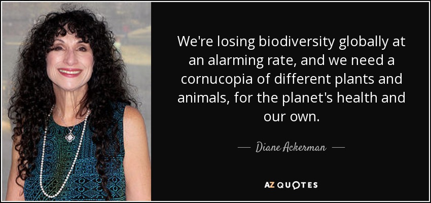 Estamos perdiendo biodiversidad en todo el mundo a un ritmo alarmante, y necesitamos una cornucopia de plantas y animales diferentes, por la salud del planeta y la nuestra propia. - Diane Ackerman