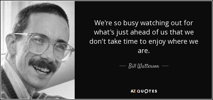 We're so busy watching out for what's just ahead of us that we don't take time to enjoy where we are. - Bill Watterson