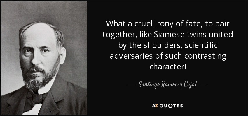 What a cruel irony of fate, to pair together, like Siamese twins united by the shoulders, scientific adversaries of such contrasting character! - Santiago Ramon y Cajal