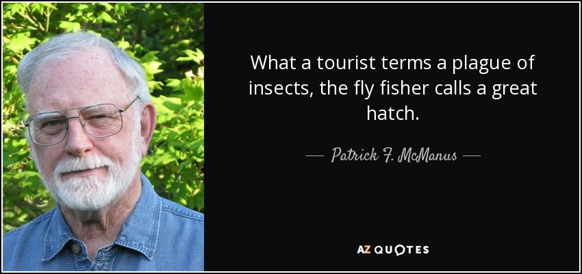 What a tourist terms a plague of insects, the fly fisher calls a great hatch. - Patrick F. McManus