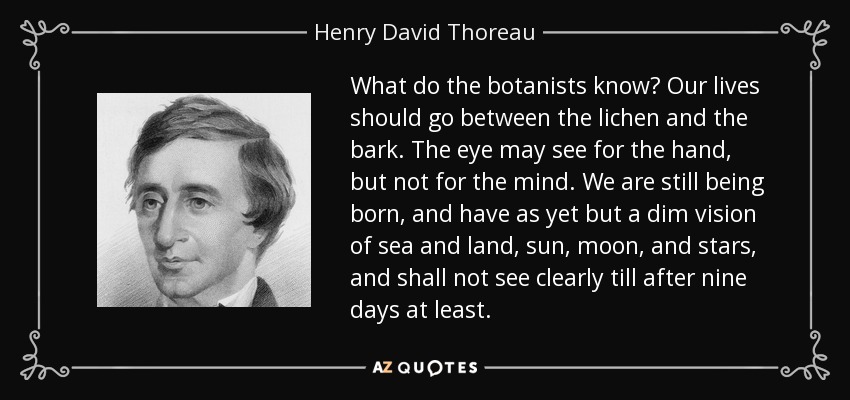 What do the botanists know? Our lives should go between the lichen and the bark. The eye may see for the hand, but not for the mind. We are still being born, and have as yet but a dim vision of sea and land, sun, moon, and stars, and shall not see clearly till after nine days at least. - Henry David Thoreau