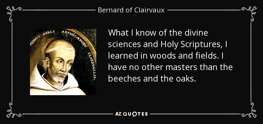 What I know of the divine sciences and Holy Scriptures, I learned in woods and fields. I have no other masters than the beeches and the oaks. - Bernard of Clairvaux