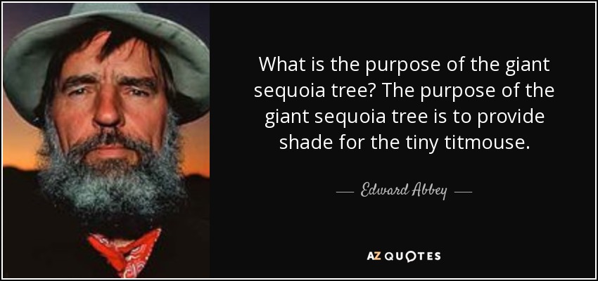 ¿Para qué sirve el secuoya gigante? El objetivo de la secuoya gigante es proporcionar sombra al pequeño carbonero. - Edward Abbey