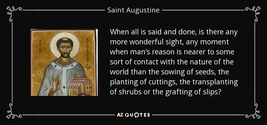 Al fin y al cabo, ¿hay algún espectáculo más maravilloso, algún momento en que la razón del hombre esté más cerca de algún tipo de contacto con la naturaleza del mundo que la siembra de semillas, la plantación de esquejes, el trasplante de arbustos o el injerto de esquejes? - Saint Augustine