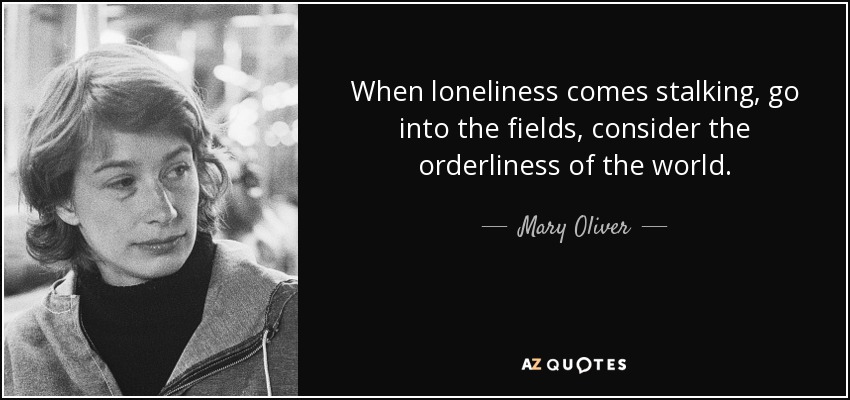 When loneliness comes stalking, go into the fields, consider the orderliness of the world. - Mary Oliver