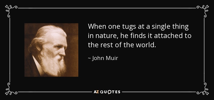 Cuando uno tira de una sola cosa de la naturaleza, la encuentra unida al resto del mundo. - John Muir