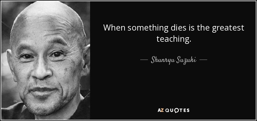 When something dies is the greatest teaching. - Shunryu Suzuki