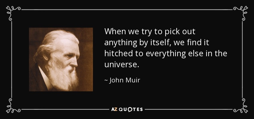 When we try to pick out anything by itself, we find it hitched to everything else in the universe. - John Muir