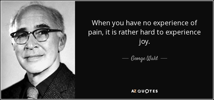 When you have no experience of pain, it is rather hard to experience joy. - George Wald