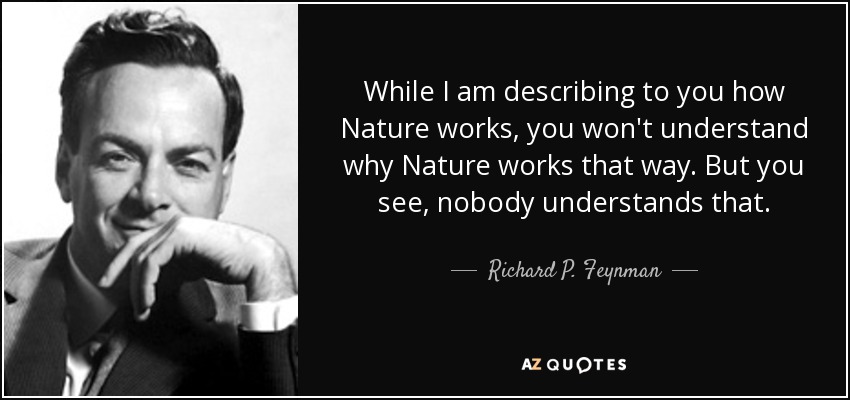 While I am describing to you how Nature works, you won't understand why Nature works that way. But you see, nobody understands that. - Richard P. Feynman