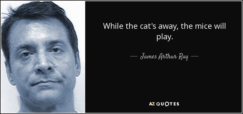 While the cat's away, the mice will play. - James Arthur Ray