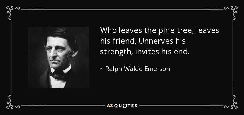 Quien deja el pino, deja a su amigo, Deserva su fuerza, invita a su fin. - Ralph Waldo Emerson