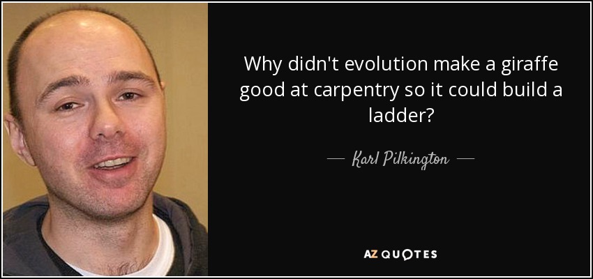 Why didn't evolution make a giraffe good at carpentry so it could build a ladder? - Karl Pilkington