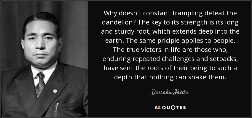 Why doesn't constant trampling defeat the dandelion? The key to its strength is its long and sturdy root, which extends deep into the earth. The same priciple applies to people. The true victors in life are those who, enduring repeated challenges and setbacks, have sent the roots of their being to such a depth that nothing can shake them. - Daisaku Ikeda