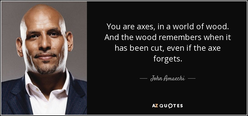 You are axes, in a world of wood. And the wood remembers when it has been cut, even if the axe forgets. - John Amaechi