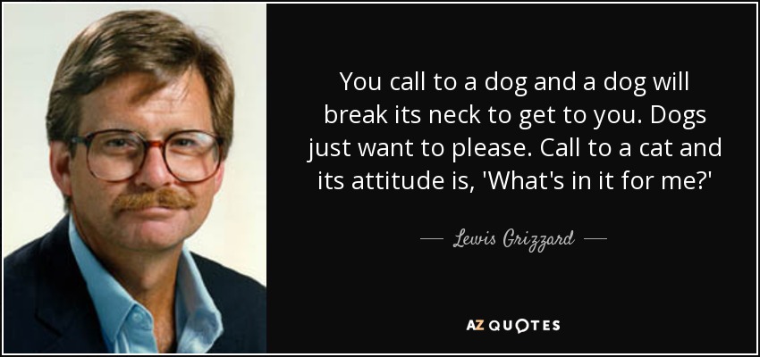 Si llamas a un perro, se romperá el cuello para llegar hasta ti. Los perros sólo quieren agradar. Si llamas a un gato, su actitud es: "¿Qué gano yo?" - Lewis Grizzard