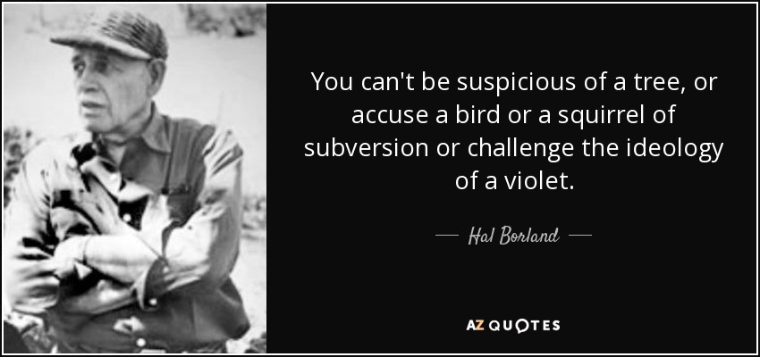 You can't be suspicious of a tree, or accuse a bird or a squirrel of subversion or challenge the ideology of a violet. - Hal Borland