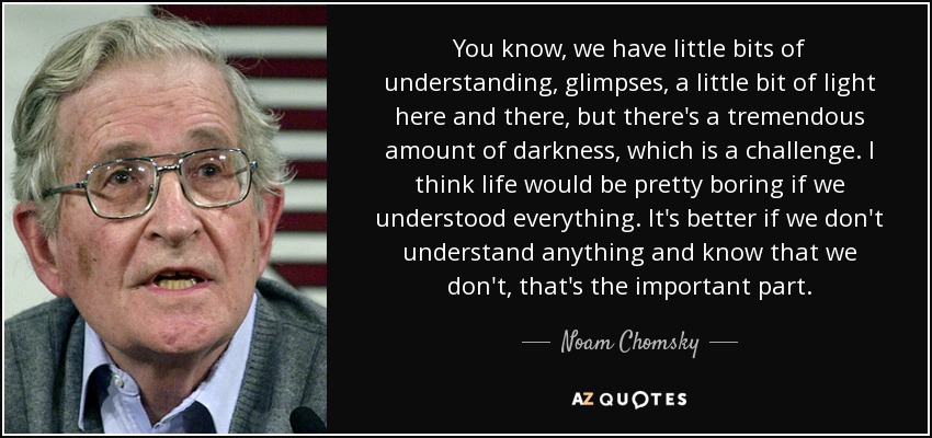 You know, we have little bits of understanding, glimpses, a little bit of light here and there, but there's a tremendous amount of darkness, which is a challenge. I think life would be pretty boring if we understood everything. It's better if we don't understand anything and know that we don't, that's the important part. - Noam Chomsky